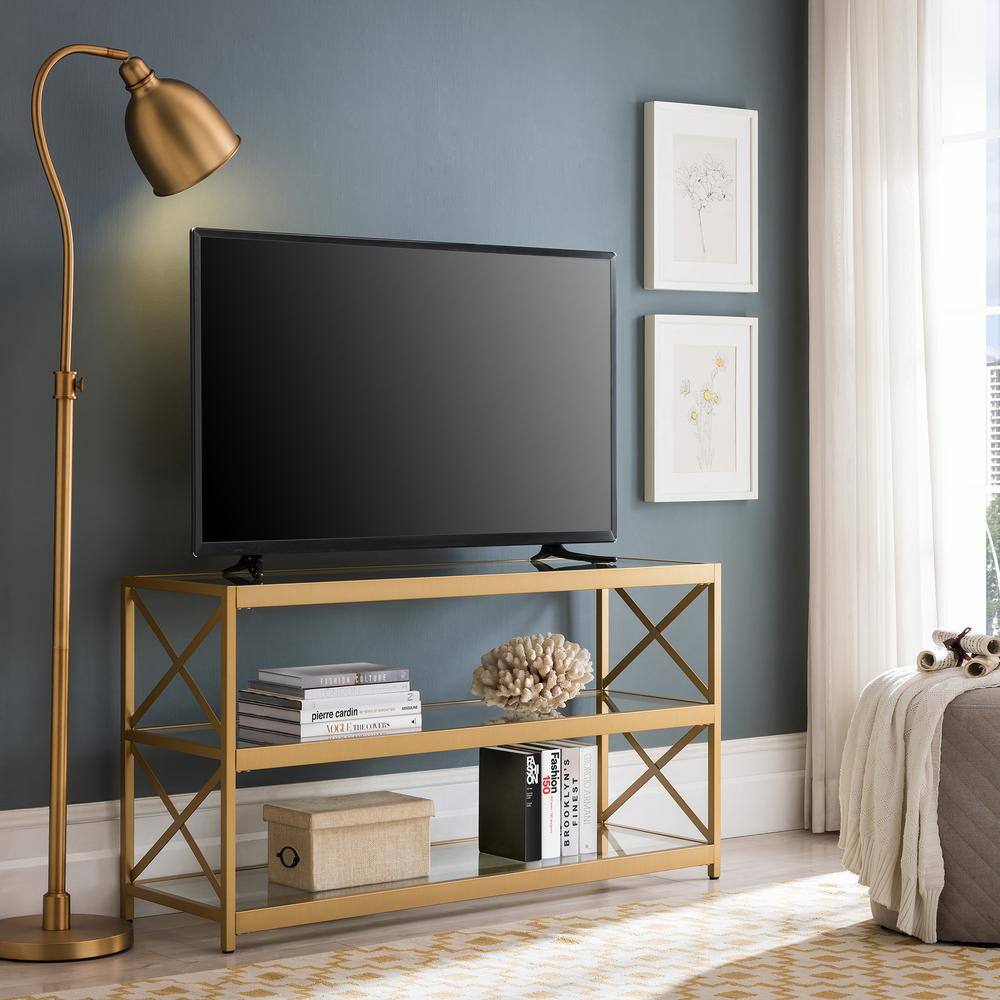 MeyerCross Hutton 48 in. Brass Finish TV Stand Fits TVs up to 50 in. TV0570