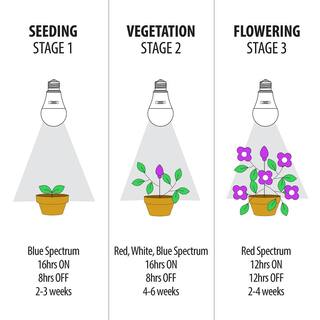 Feit Electric 17-Watt E26 A21 Selectable Spectrum for Seeding Growing Blooming Indoor Greenhouse Plant Grow LED Light Bulb (1-Bulb) A21ADJGRWLEDHDRP