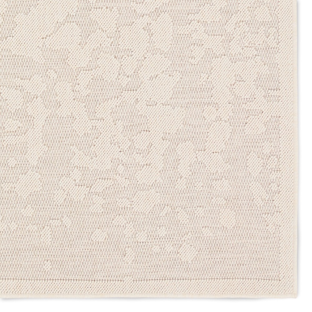 Paradox Indoor/Outdoor Abstract Cream Area Rug