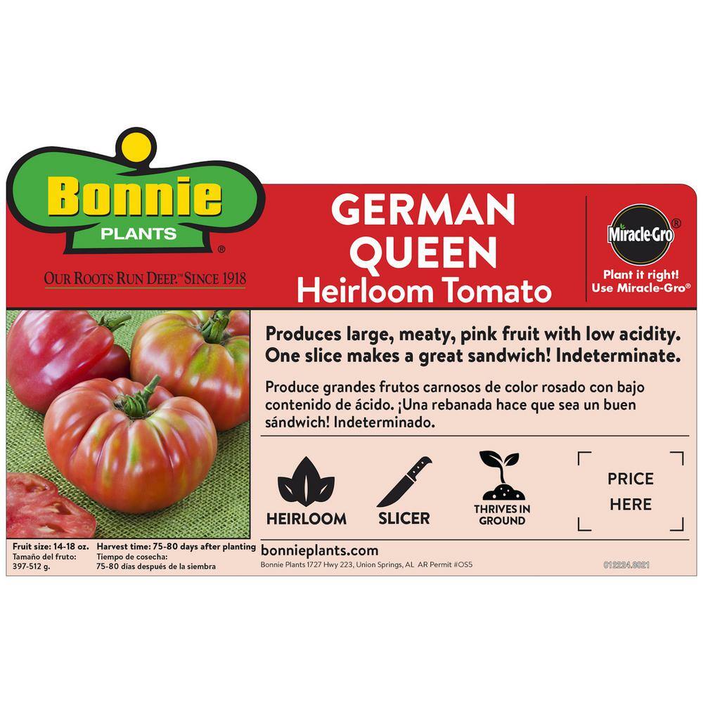 Bonnie Plants 19 oz. German Queen Heirloom Tomato Plant 1003800689
