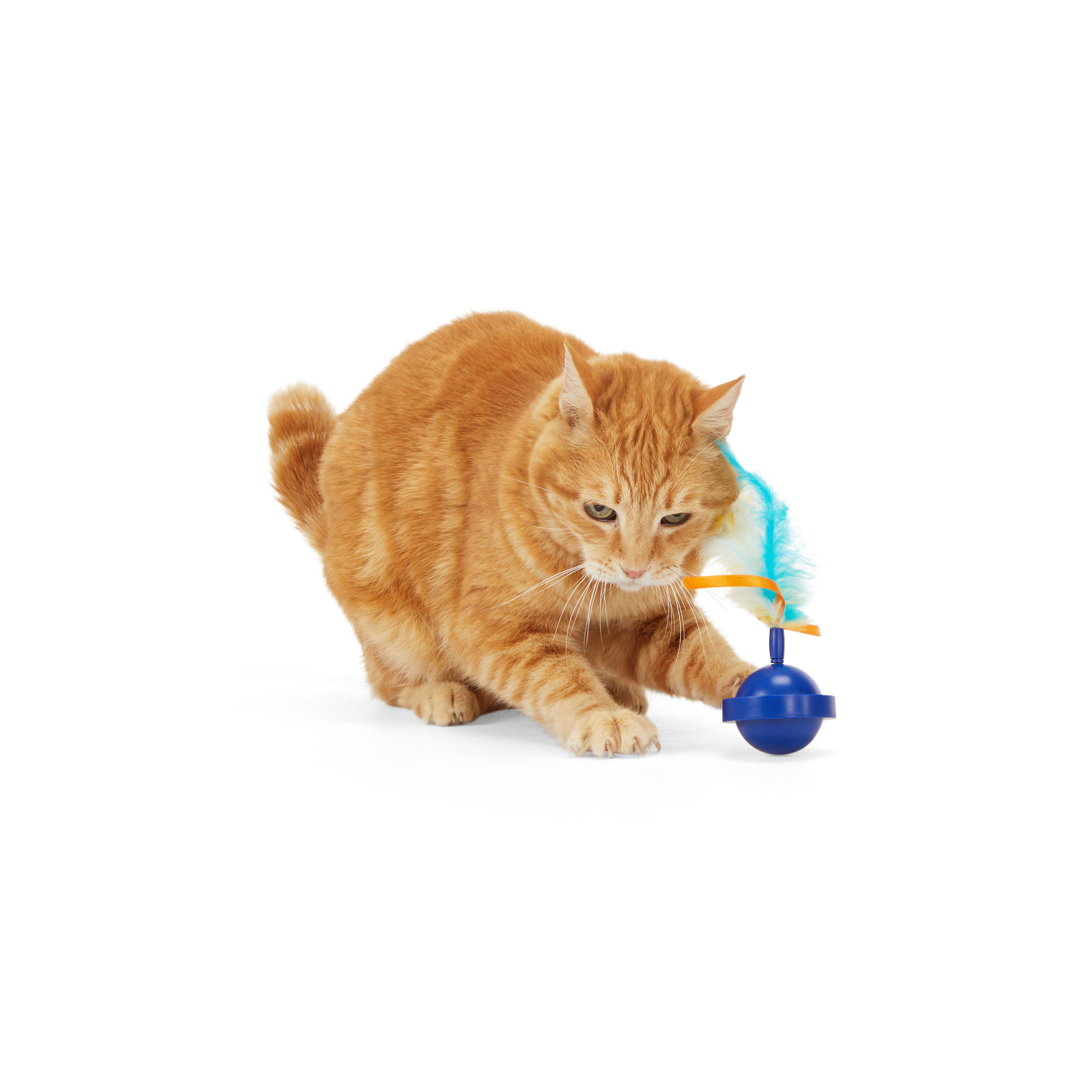 LEAPS  BOUNDS Electronic Spinning Cat Toy