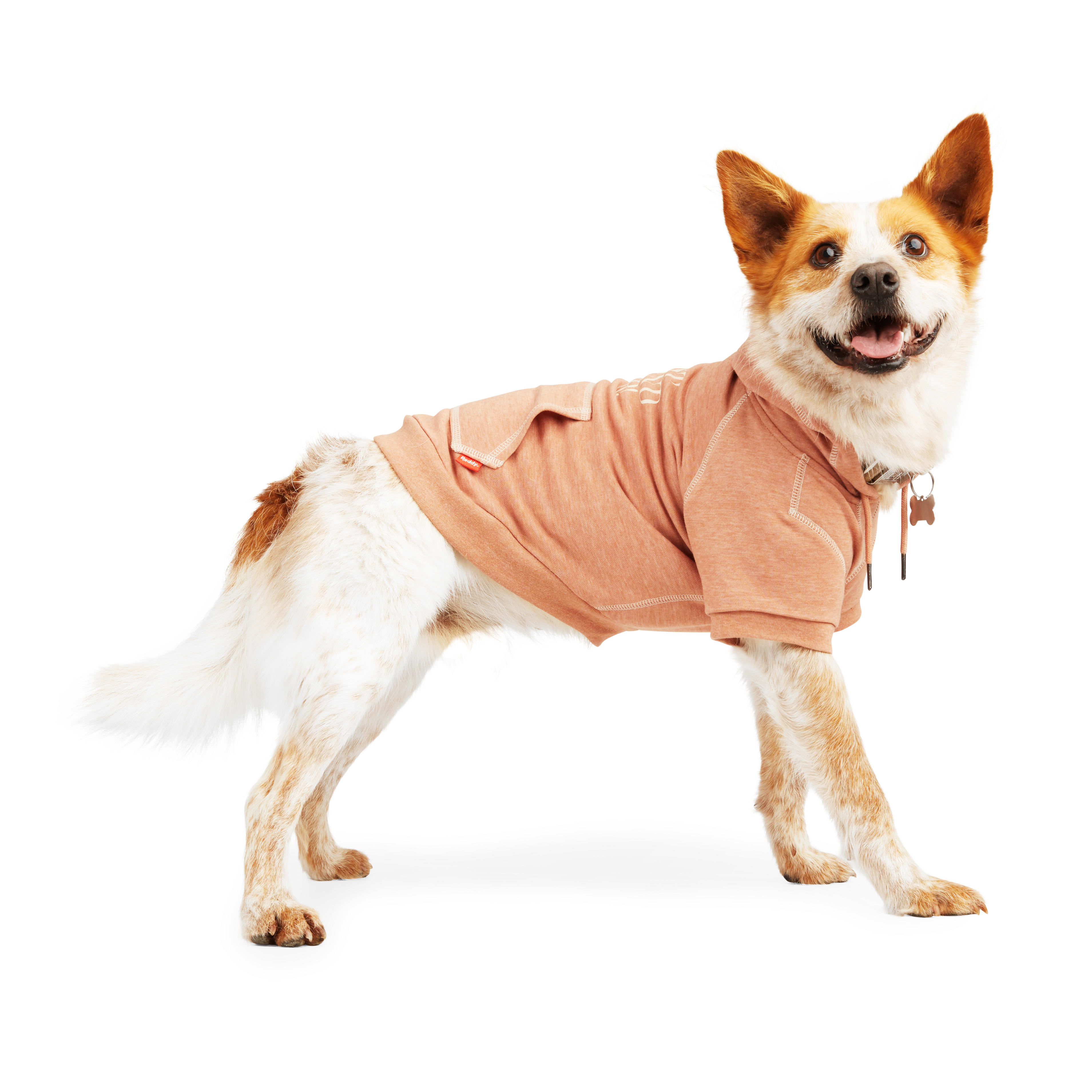 Reddy Copper BFF Dog Hoodie， X-Small