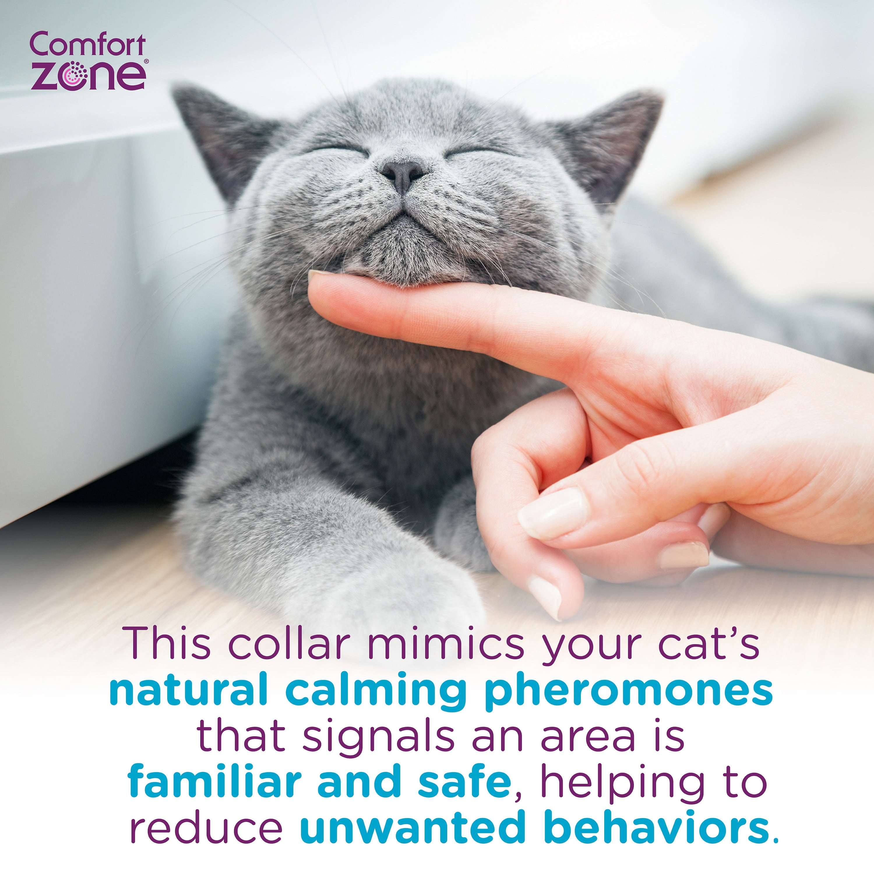 Comfort Zone Cat Calming Pheromone Collar， Anxiety and Stress Relief， Breakaway Design， 1pk