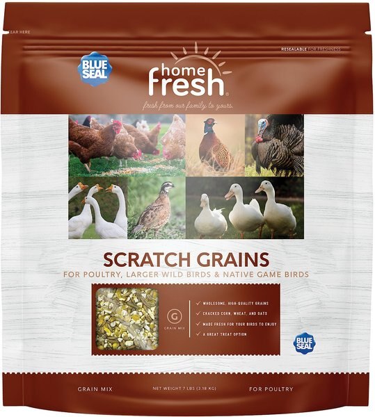 Blue Seal Home Fresh Scratch Grains Poultry Food， 7-lb bag