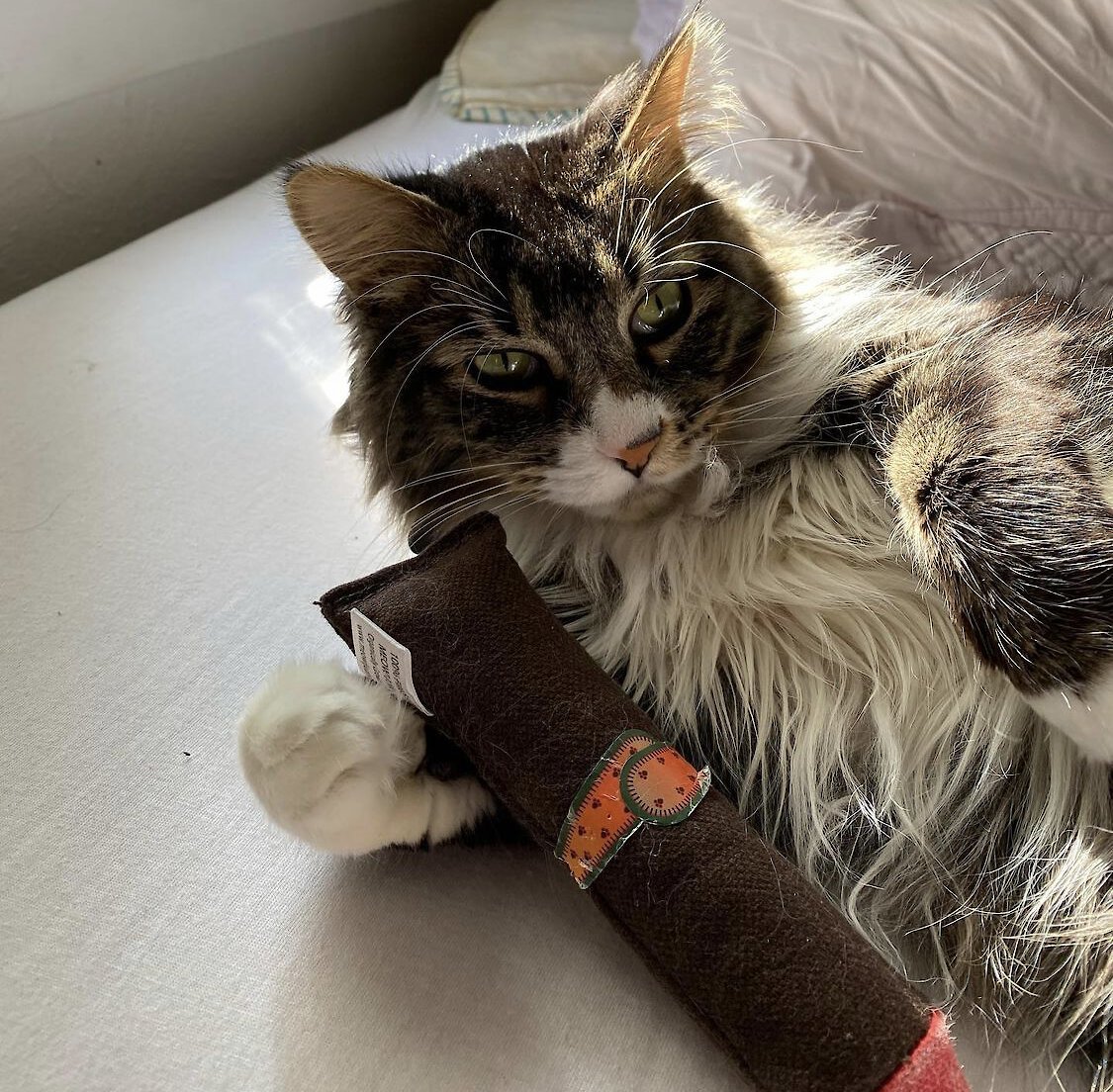 Meowijuana Catnip Cigar Cat Toy