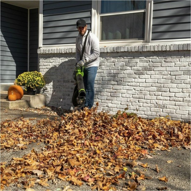 Earthwise Lbvm2202 Leaf Blower mulcher vacuum