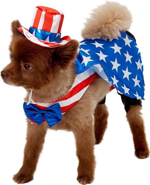 Rubie's Costume Company Uncle Sam Dog Costume