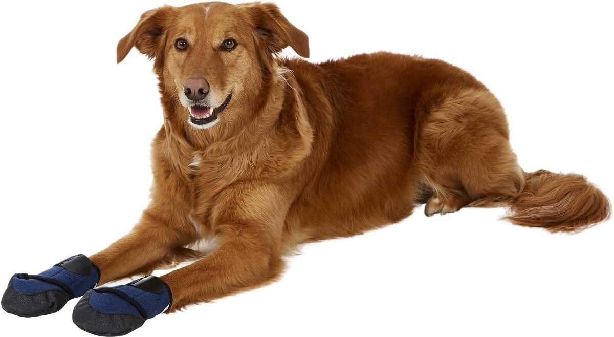 Healers Booties and Gauze Inserts for Dogs