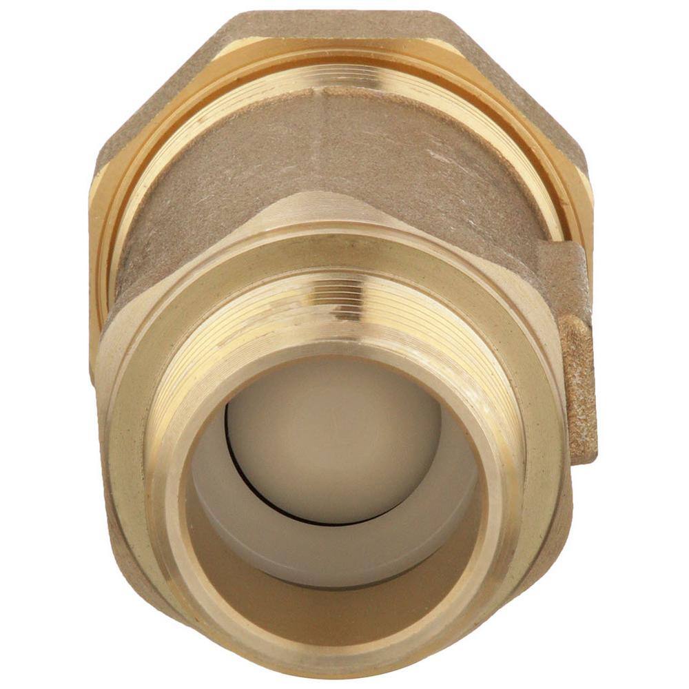 Zurn 1 in. Dual Check Valve with 1 in. Male Inlet x 1 in. Union Female Outlet 1MX1UF-700XL