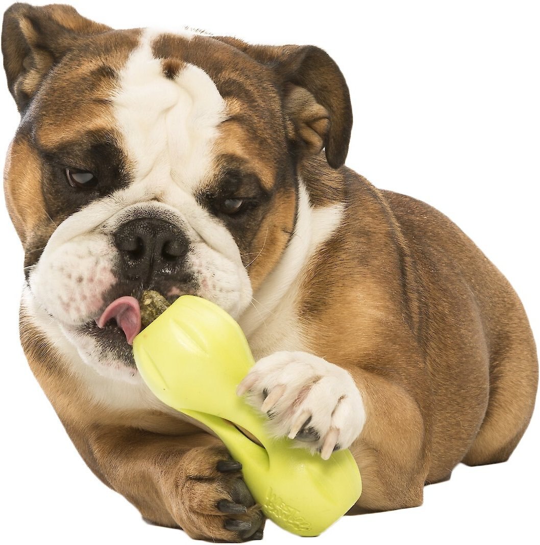 West Paw Qwizl Tough Treat Dispensing Dog Chew Toy