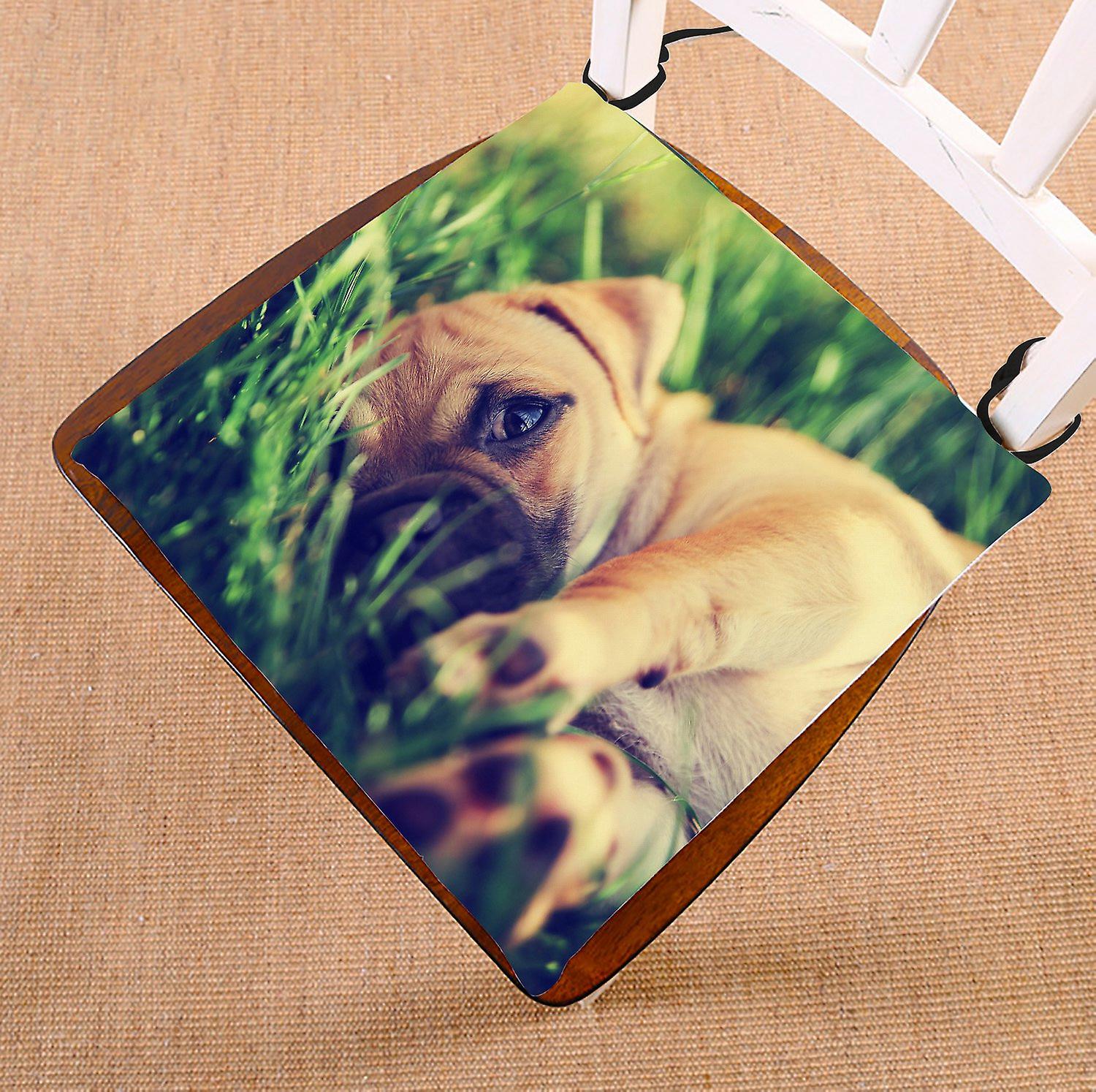 Animal Chair Pad， Cute Pug Chihuahua Looking At You Seat Cushion Chair Cushion Floor Cushion 40x40 Cm