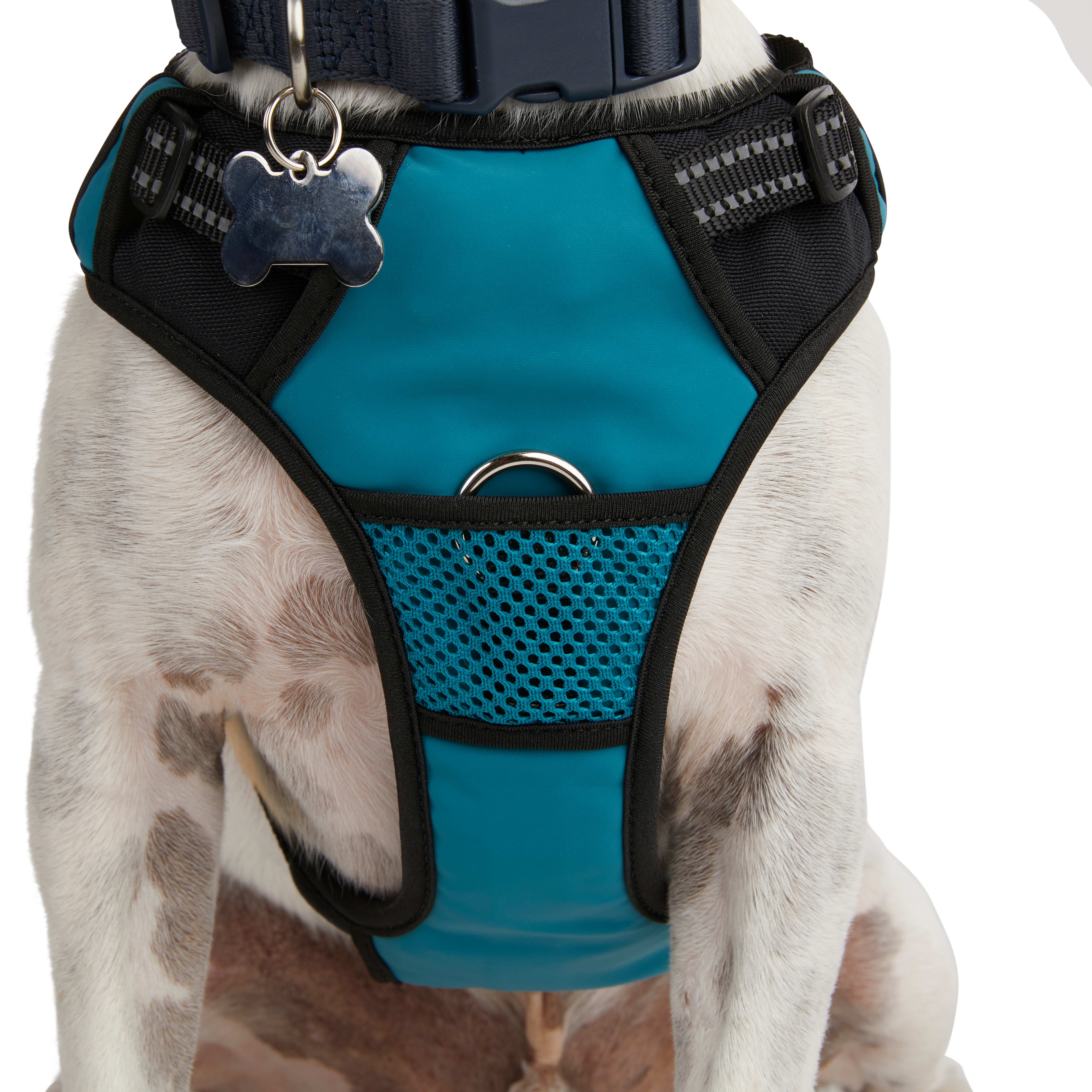 EveryYay Embrace the Pace Teal Reflective Dog Harness， X-Small