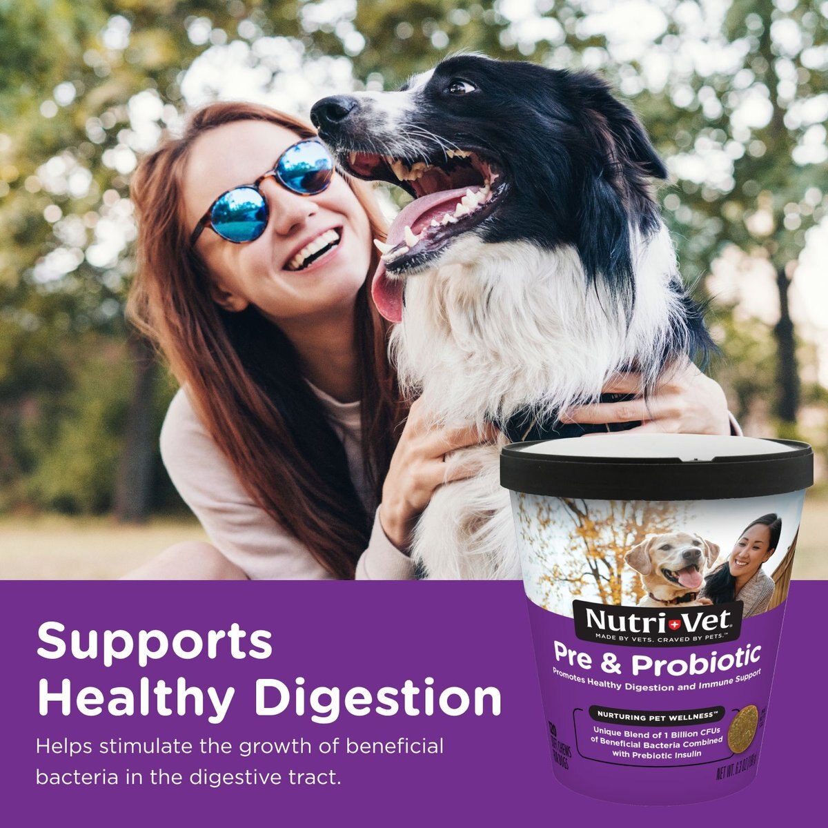 Nutri-Vet Pre and Probiotics Soft Chews Digestive Supplement for Dogs