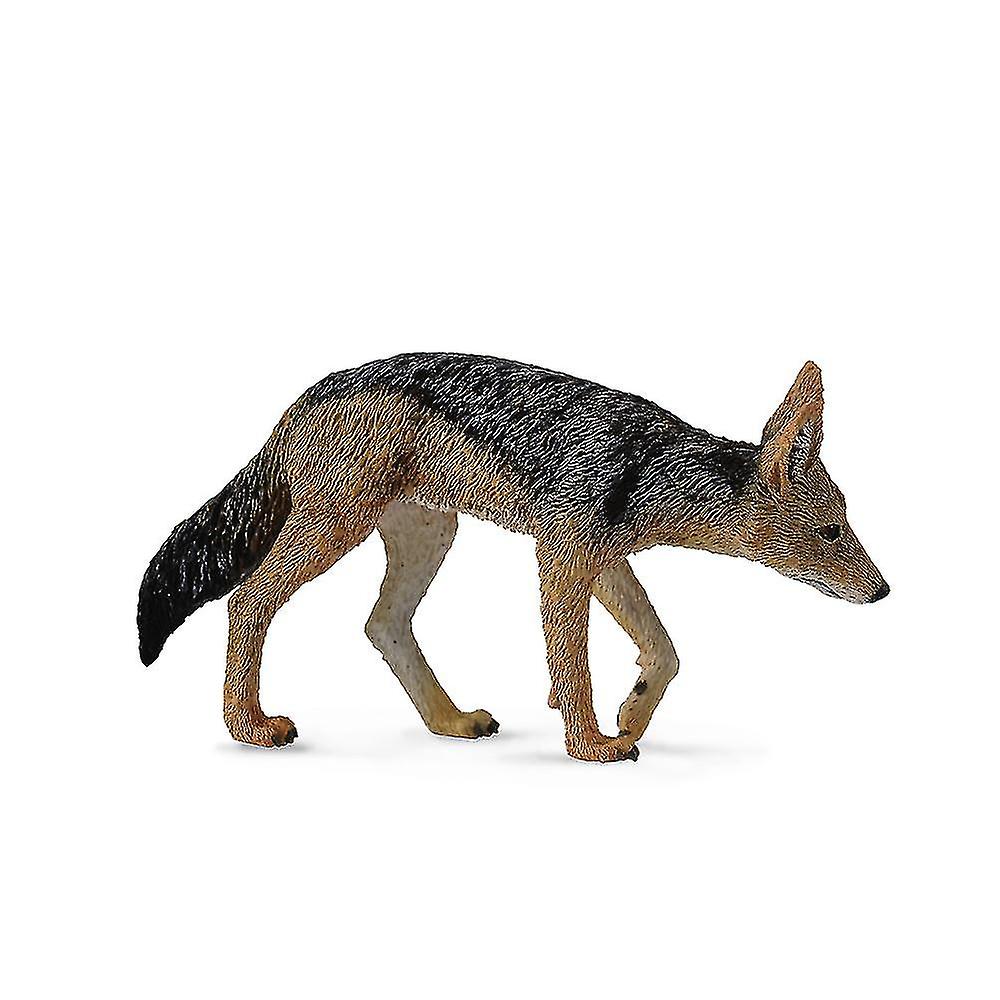 Black-backed Jackal