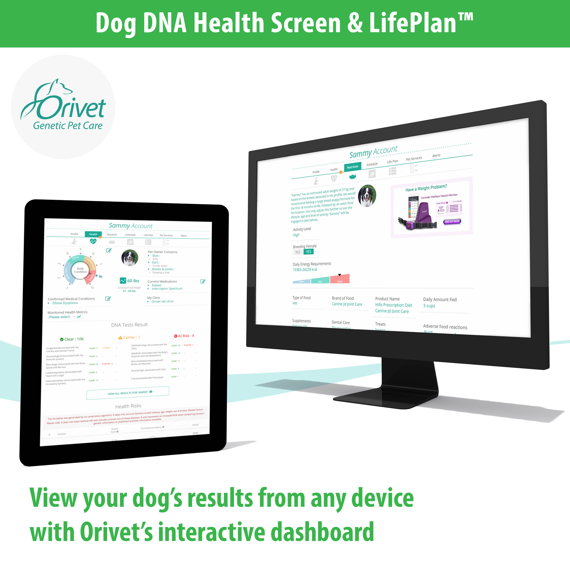 Orivet Dog DNA Health Screen