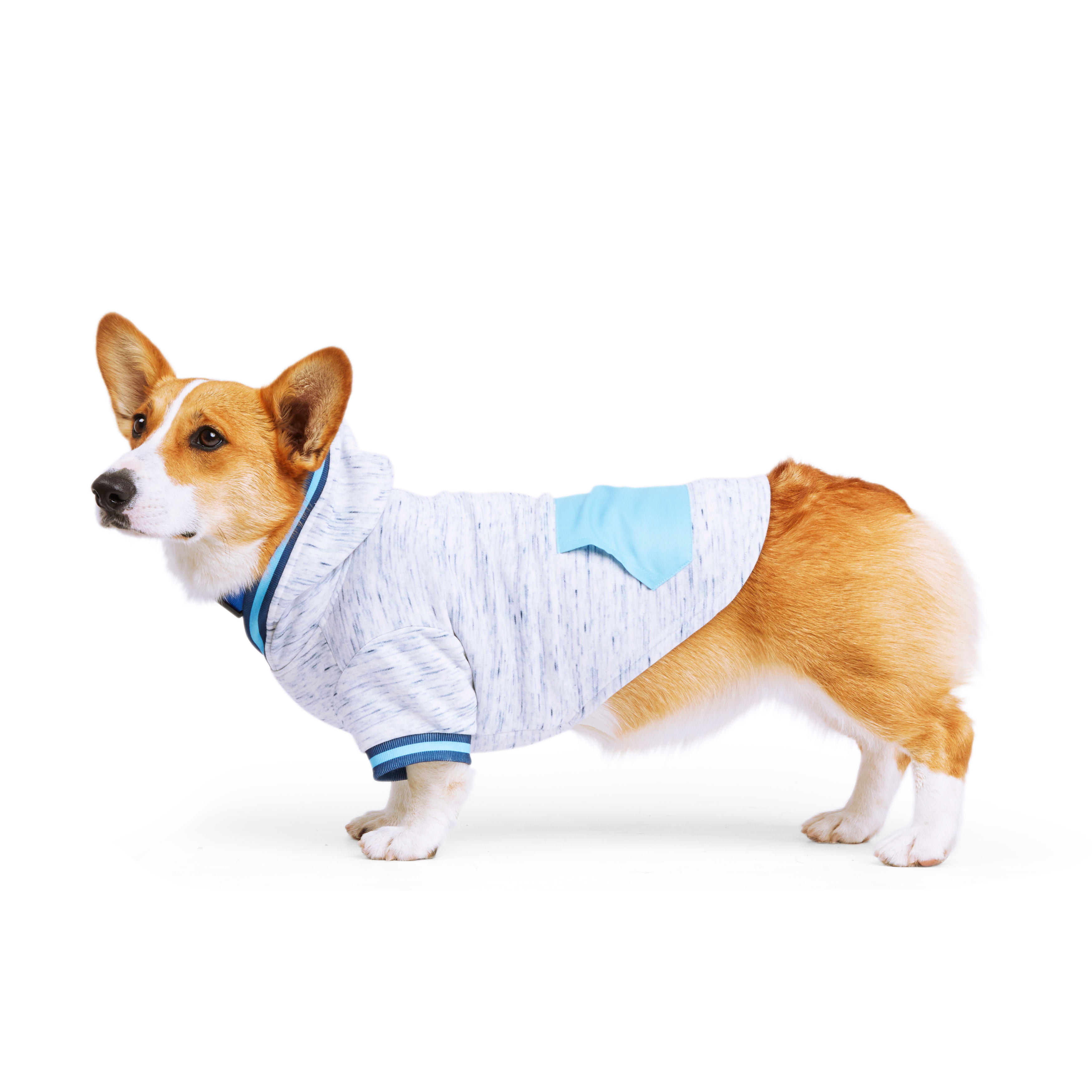 YOULY Blue Spacedye Dog Hoodie， X-Small