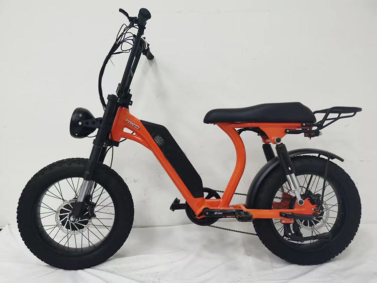 Hot Sale Ready to Ship Emtb 1000W Electric Bike Fat Tire Electric Cycle For Adult