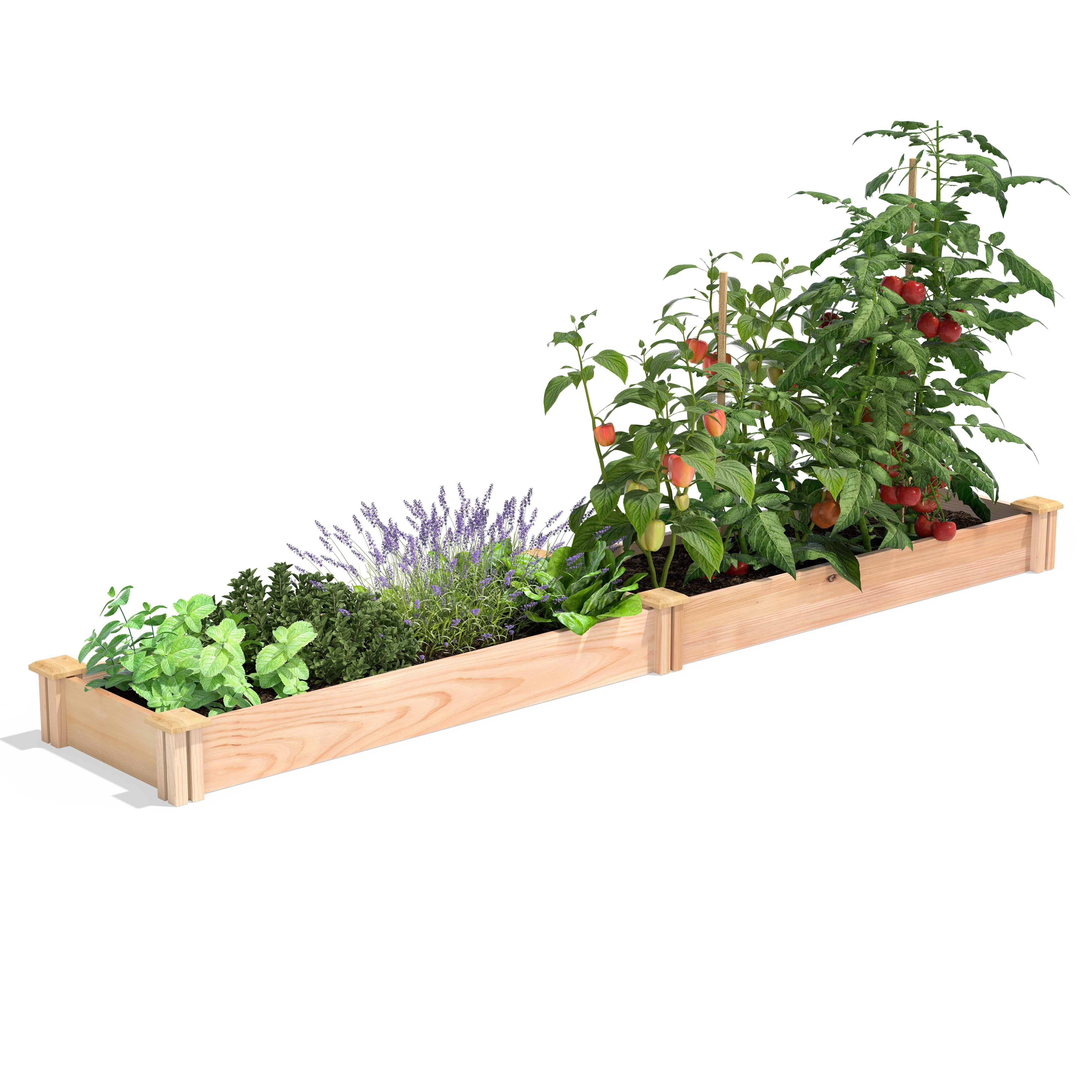 Greenes Fence 16" x 96" x 5.5" Premium Cedar Raised Garden Bed