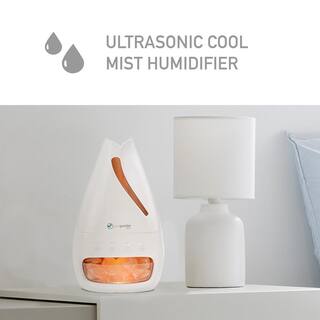 Pure Guardian 3-In-1 Himalayan Salt Lamp Ultrasonic Cool Mist Humidifier with Aromatherapy Tray H1117W