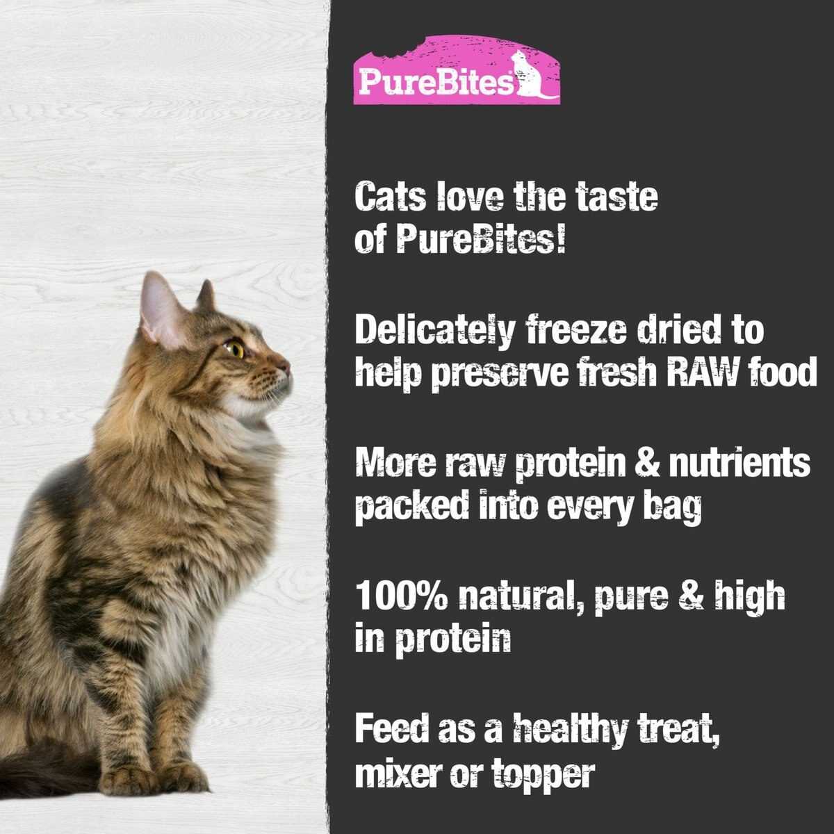 PureBites Salmon Freeze-Dried Raw Cat Treats