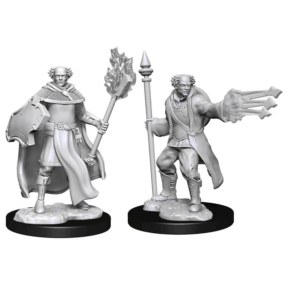 DandD Nolzur's Minis Multiclass Cleric Wizard Male