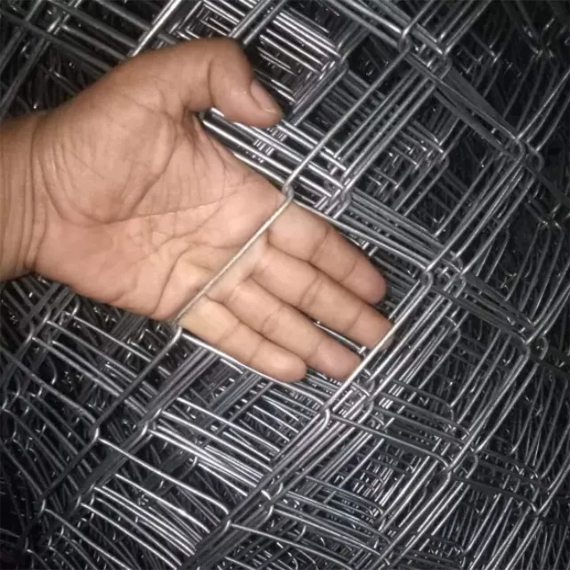 PVC Coated/Galvanized Iron Wire Chain link Wire