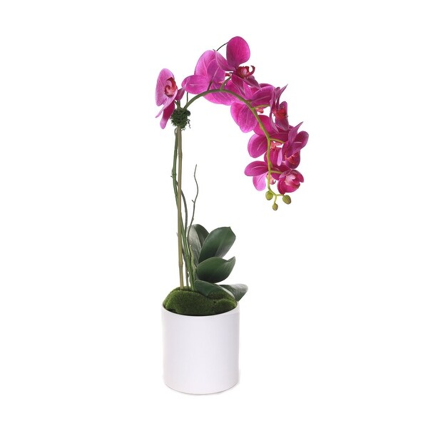 Purple Phalaenopsis Orchid in White Cylinder Pot