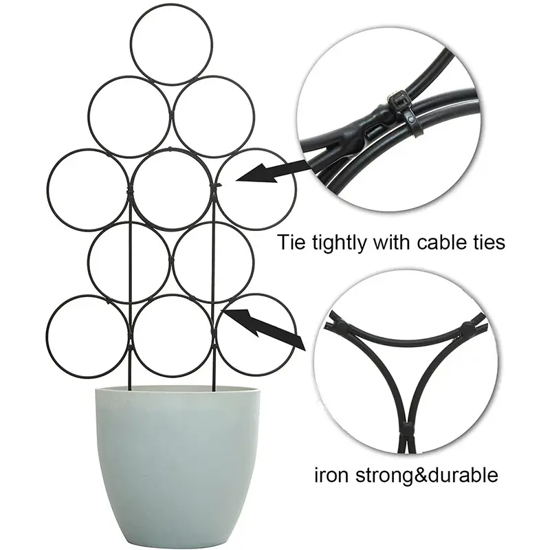 Garden Supplies Planter Flower Iron Support Trellis for Climbing Plant Grow Cage with Rings