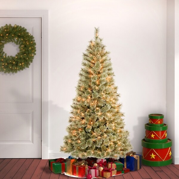 National Tree Company 6 ft. Arcadia Pine Tree with Clear Lights