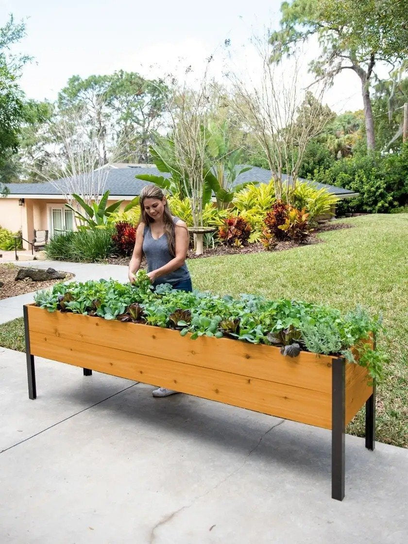 Watering Eco-Stained Elevated Planter Box