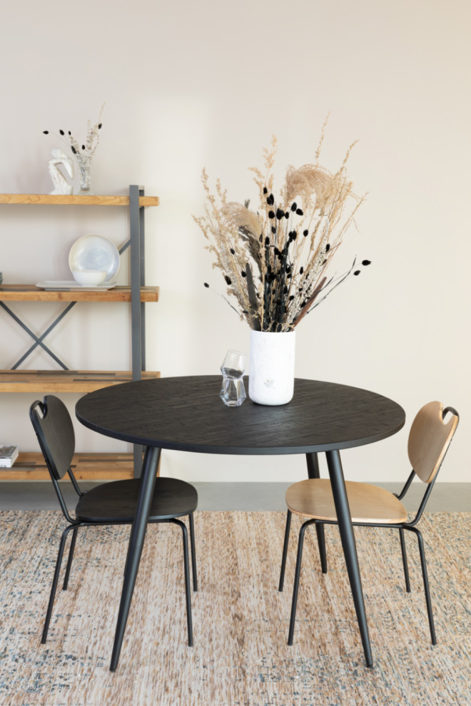 Lacquered Wood Dining Chairs (2)  DF Aspen   Midcentury   Dining Chairs   by Oroa   Distinctive Furniture  Houzz