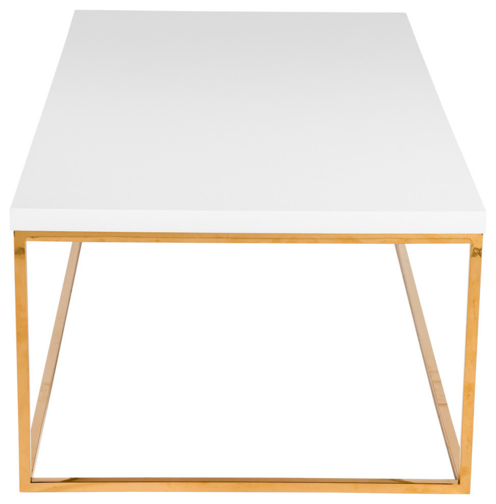 Teresa Rectangular Coffee Table   Contemporary   Coffee Tables   by Euro Style  Houzz