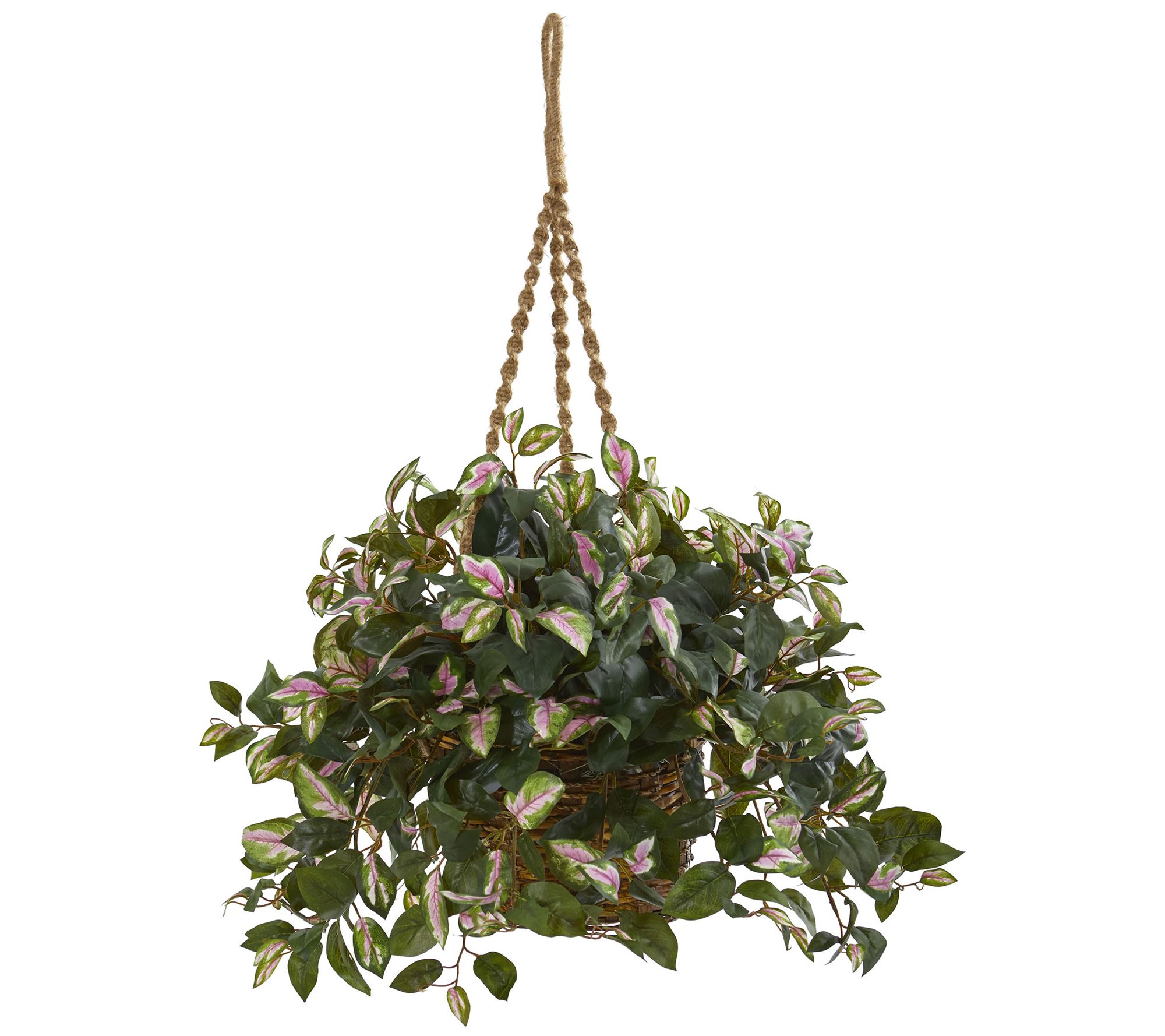 Hoya Artificial Plant Hanging Basket by Nearly Natural