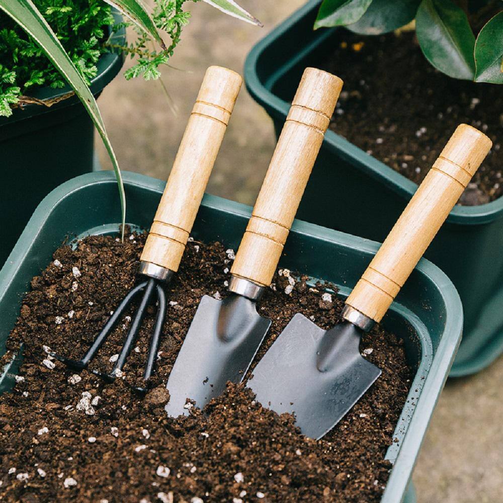 Agfabric 3-Piece Cultivator Transplanter Garden Tool Set GTSMBTT3P