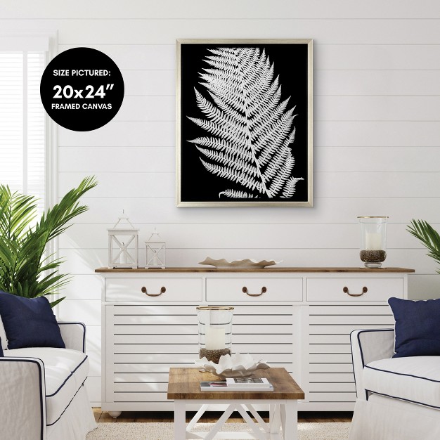 Americanflat White Fern Ii By Chaos amp Wonder Design Floating Canvas Frame Modern Wall Art Decor