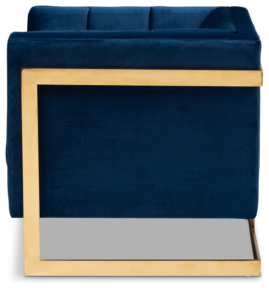 Rolland Royal Blue Velvet Button Tufted Armchair With Gold Tone Frame   Contemporary   Armchairs And Accent Chairs   by Baxton Studio  Houzz