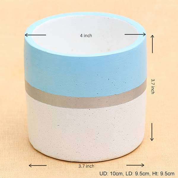 4 inch (10 cm) Circlet Concrete Pot (Rustic White, Sky Blue)