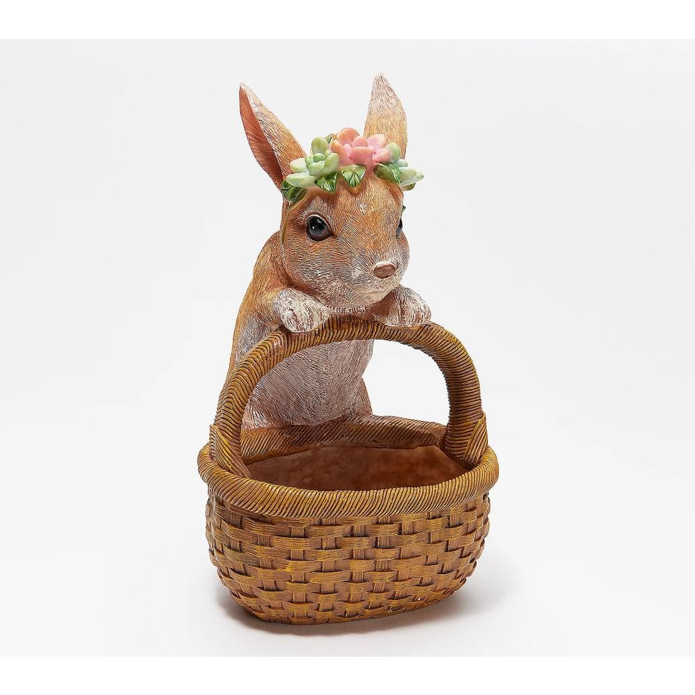 Evergreen Rabbit Succulent Resin Planter Basket ZQ84G2744