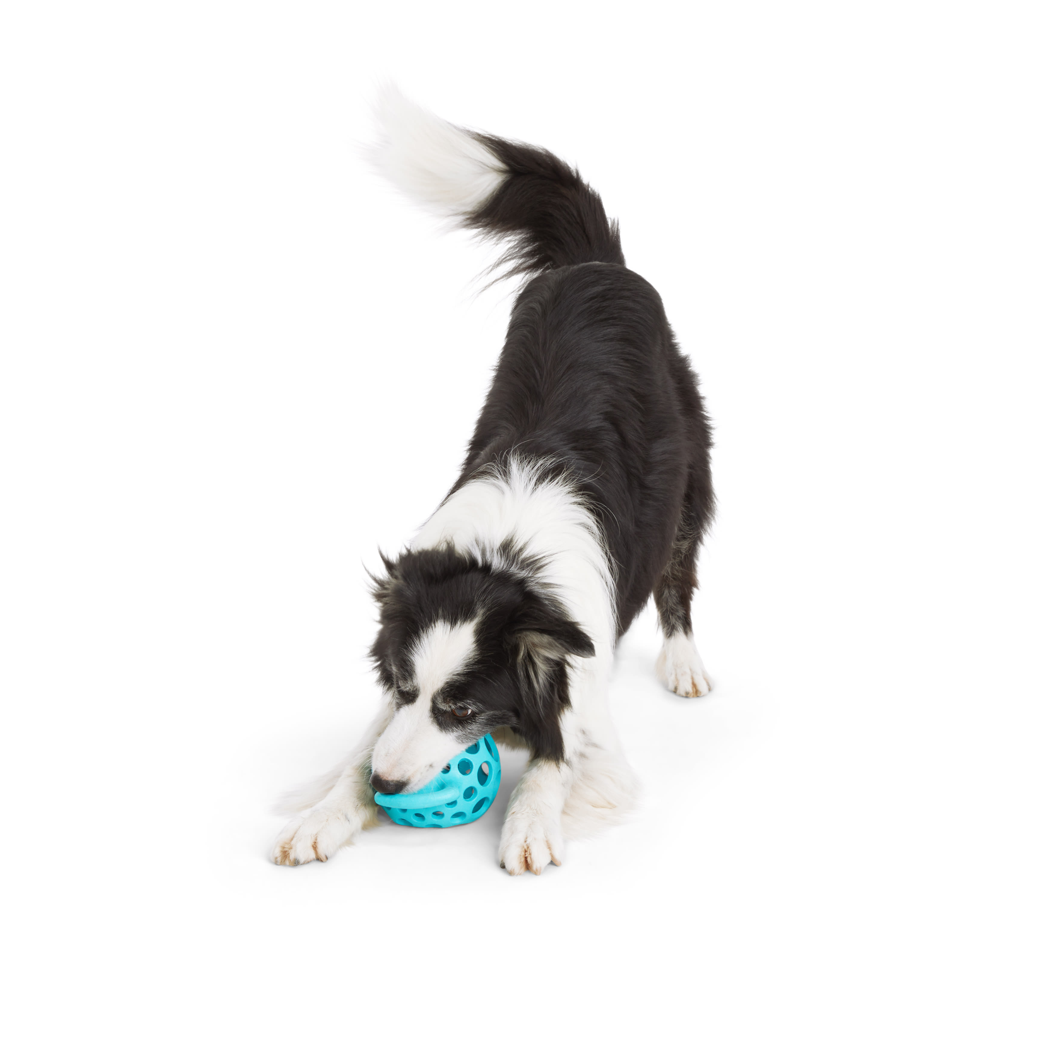 Leaps  Bounds Cage Ball with Handle Dog Toy， Small