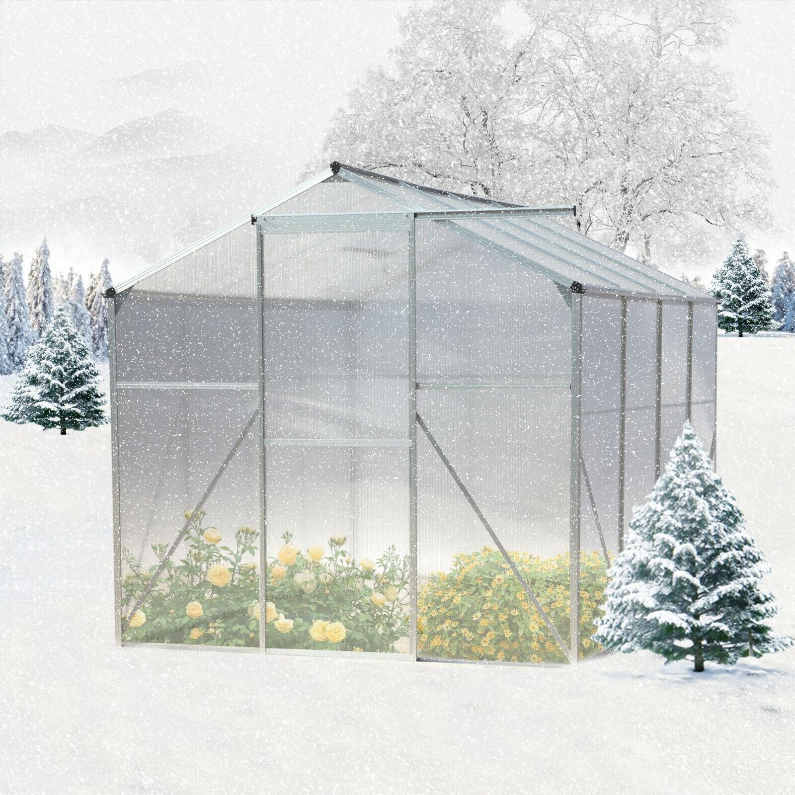 8 x 6 ft Walk-in Plant Greenhouse Kit Polycarbonate Garden Backyard Alu Cold Frame Window