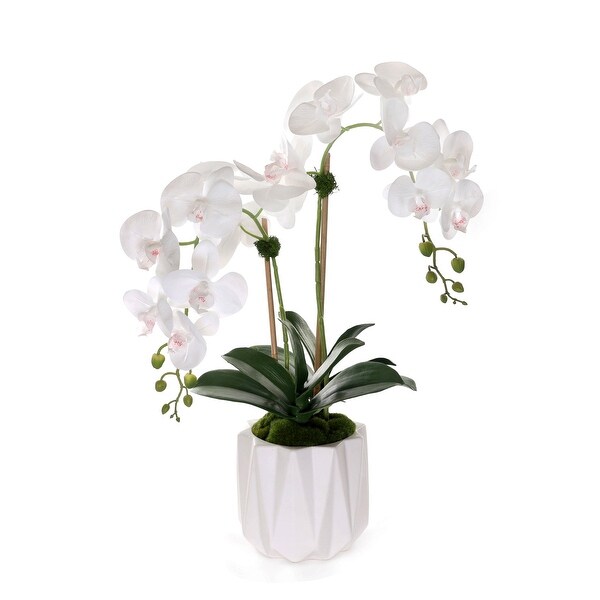 Real Touch Phalaenopsis Orchids in White Dimensional Pot