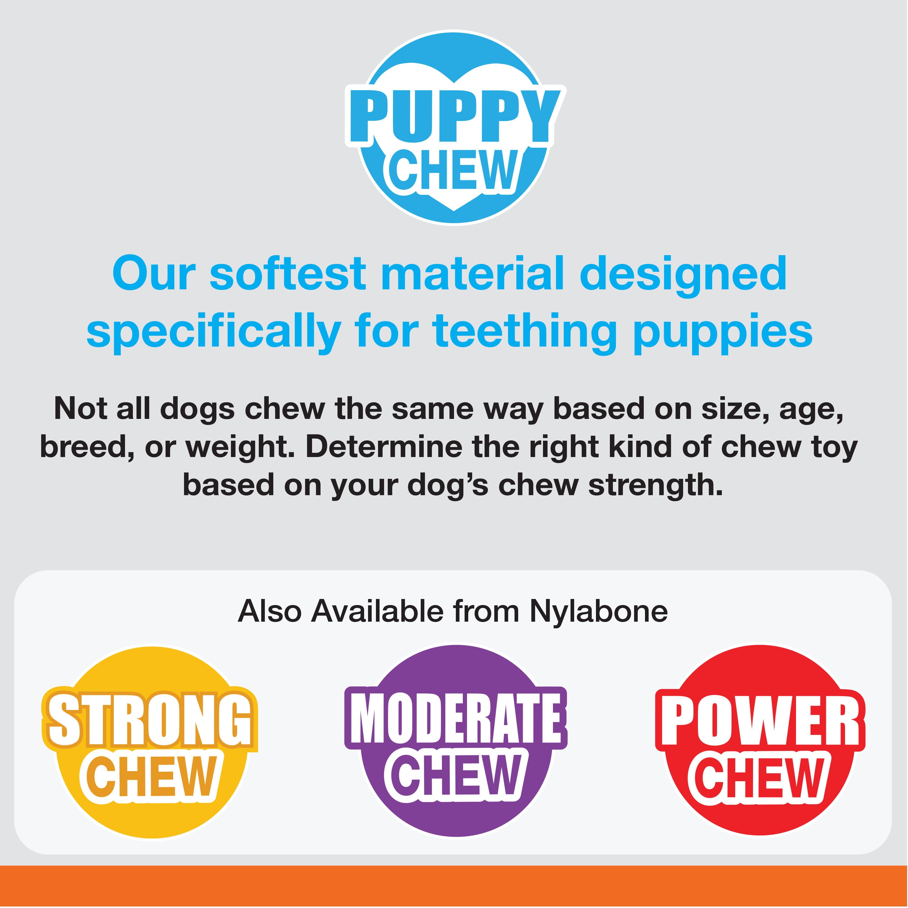 Nylabone Puppy Chew Combo Pack  - Up to 15 lbs.