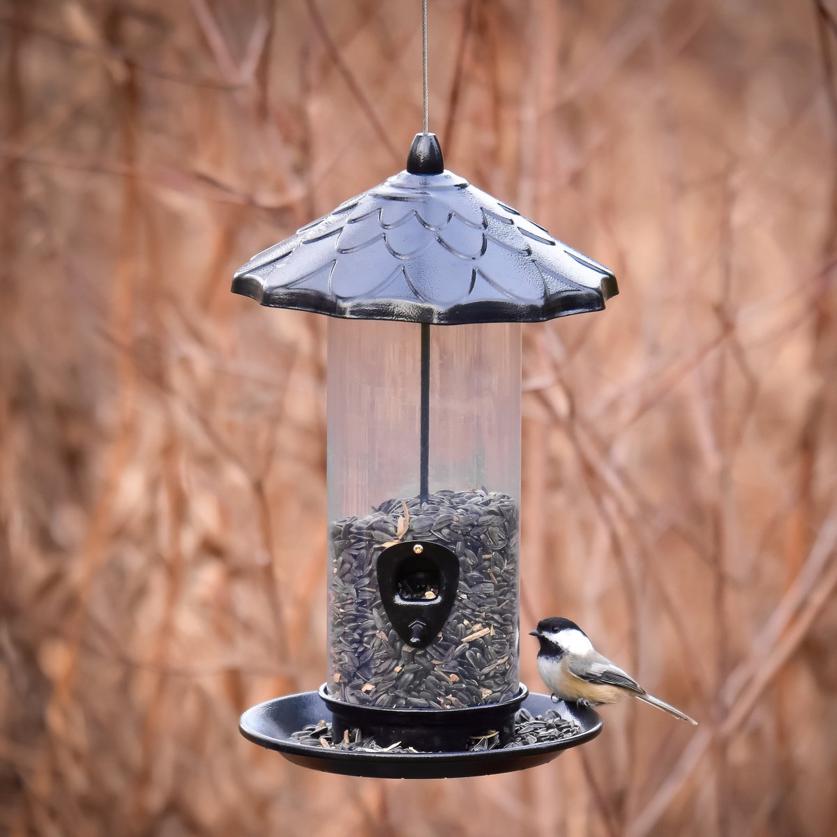 Frisco Acorn Wild Bird Feeder