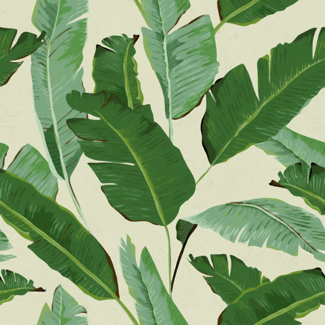 Sample Banana Leaves Wallpaper in Beige and Green from the Tropical Vibes Collection by Mind the Gap