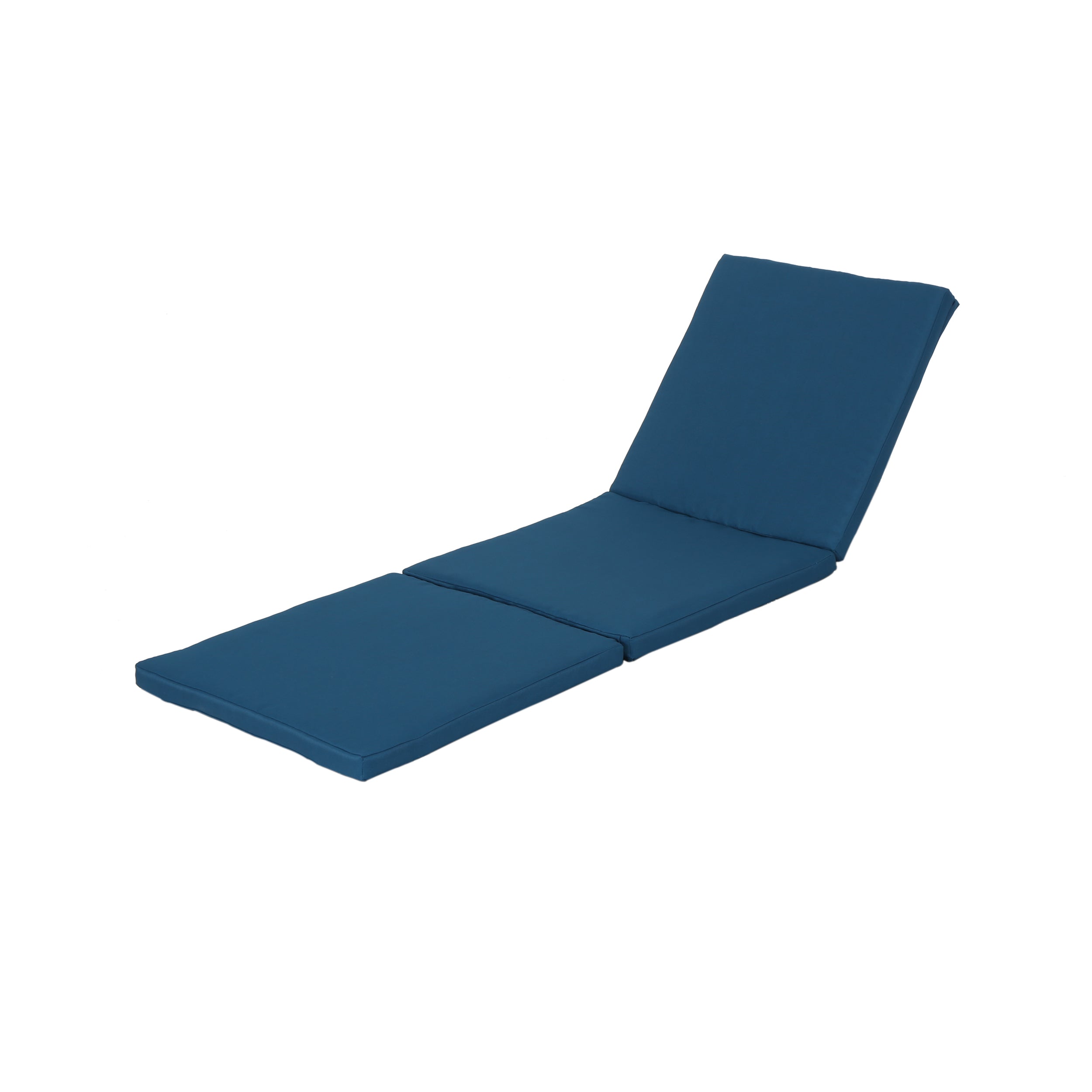 Laraine Outdoor Water Resistant Chaise Lounge Cushion