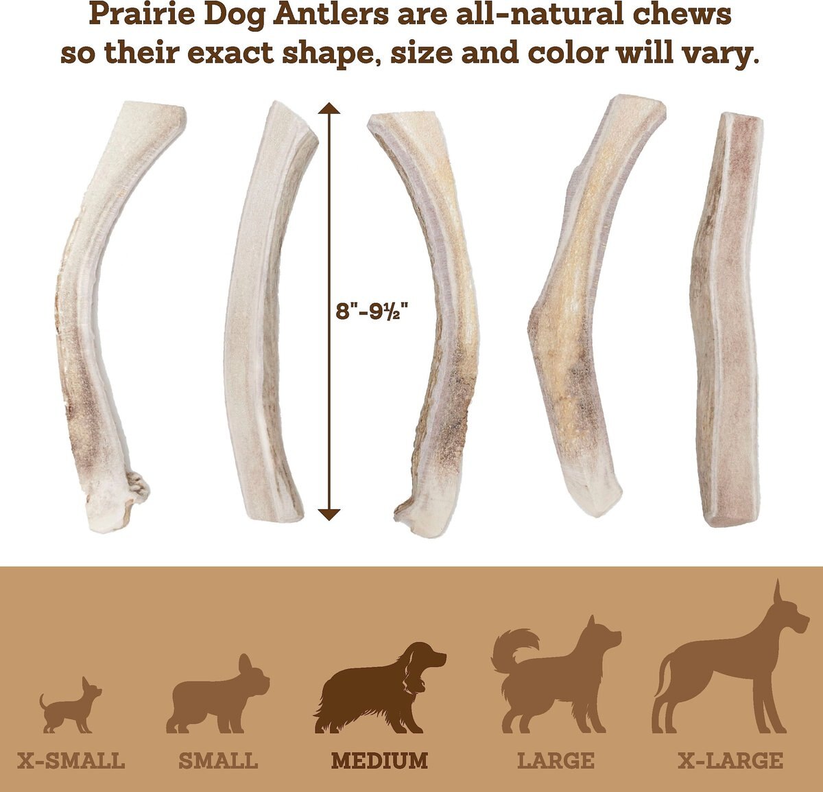 Prairie Dog Split Deer Antler Dog Chews