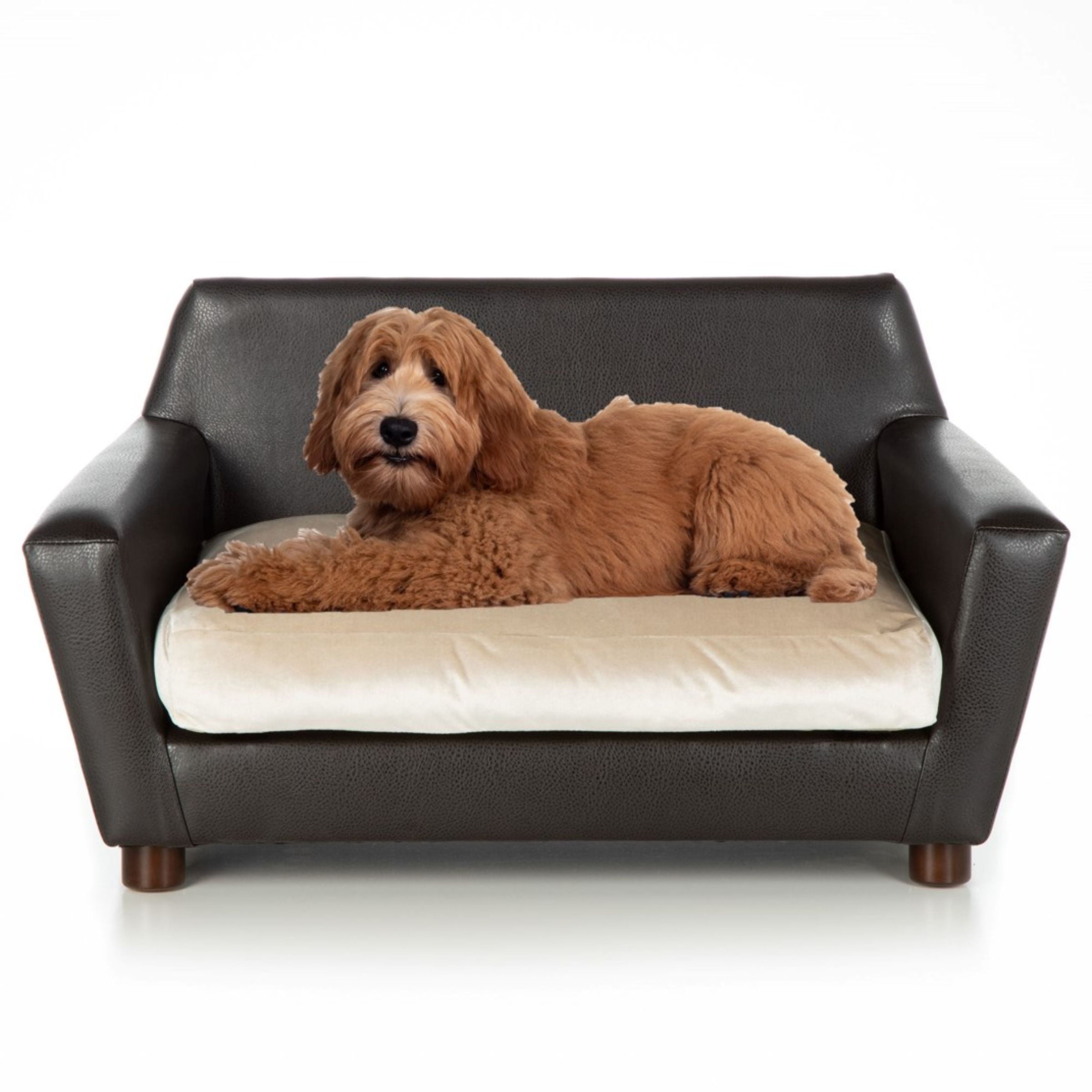 Club Nine Pets Rivoli Orthopedic Dog Bed， Large， Beige.