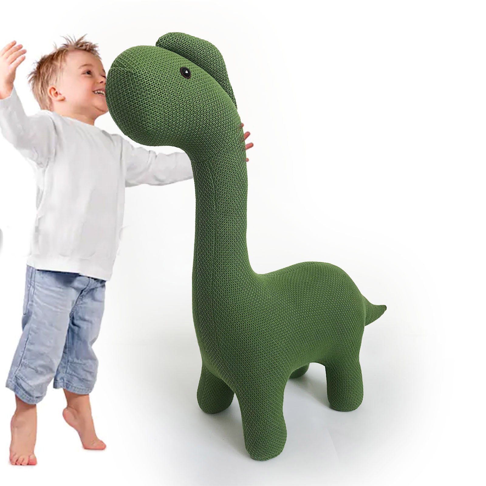 Handmade Cute Dinosaur Decorative Lt-R01