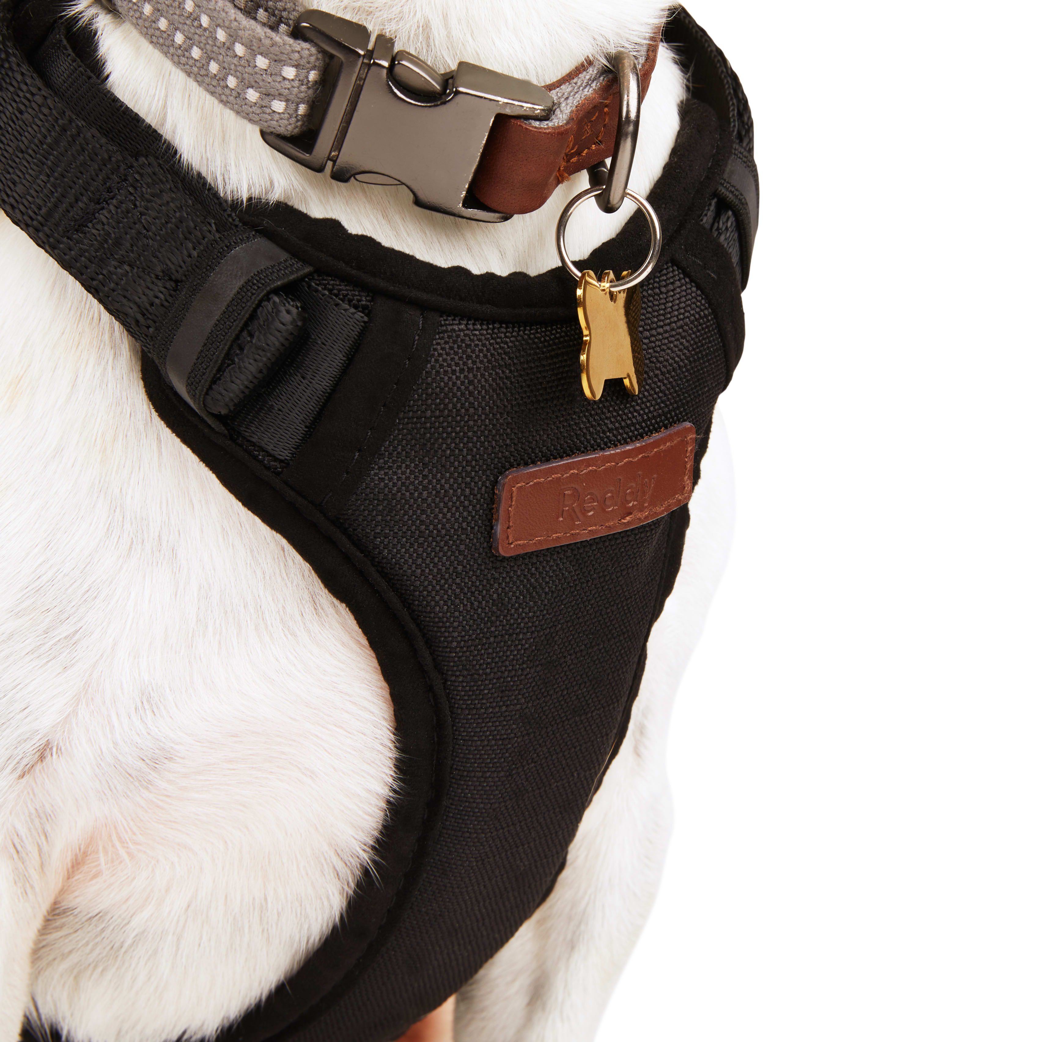 Reddy Crash Tested Dog Harness， Small