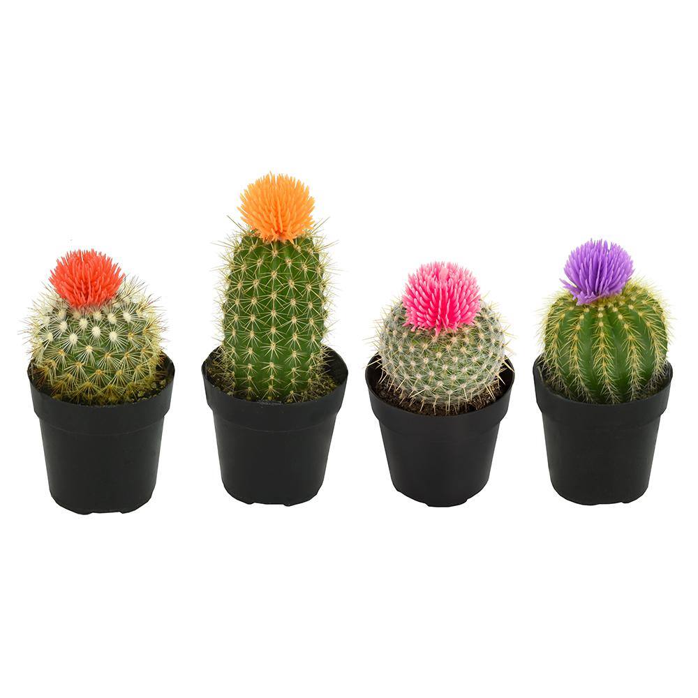 SMART PLANET 2.5 in. Cactus with Faux Flower Plant Collection (4-Pack) 0880047